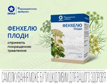 Фенхелю плоди: корисні властивості, застосування та протипоказання