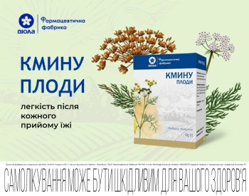 Кмину плоди: лікувальні та корисні властивості, застосування, протипоказання