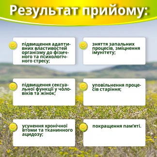 АШВАГАНДА Супер Концентрат капсули по 500мг №60-3