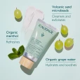 Caudalie (Кодалі) Крем-ексфоліант очищуючий 75мл (43924)-thumb2