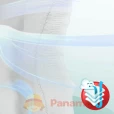 Трусики-підгузки Pampers (Памперс) Pants Maxi (8-14кг) р.4 №16-thumb4